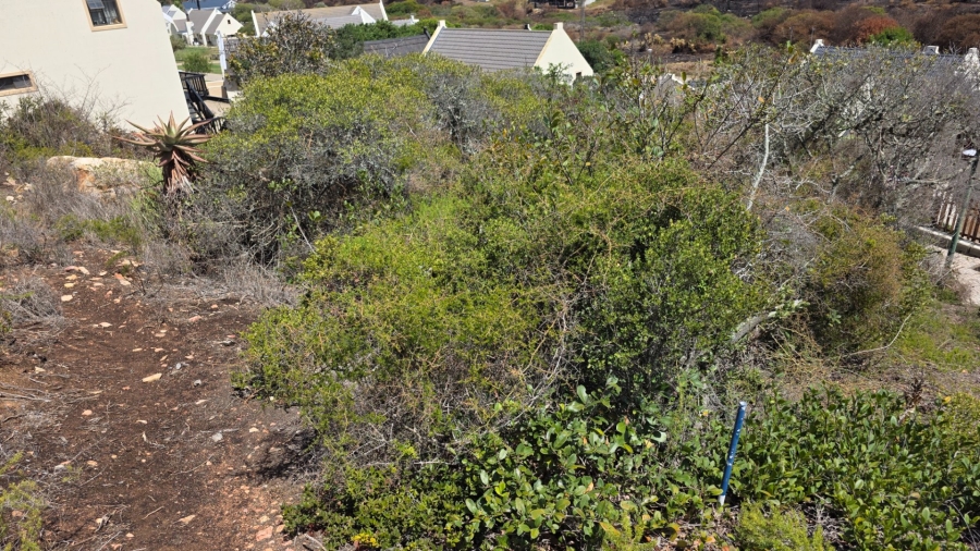 Commercial Property for Sale in Vakansieplaas Western Cape